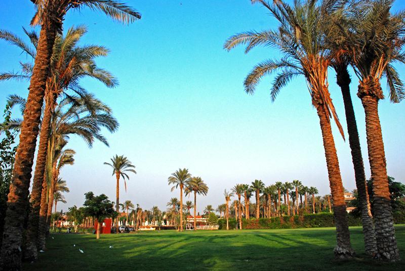 Sakkara Country Club Hotel El Hawamdeya Extérieur photo