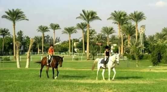 Sakkara Country Club Hotel El Hawamdeya Extérieur photo